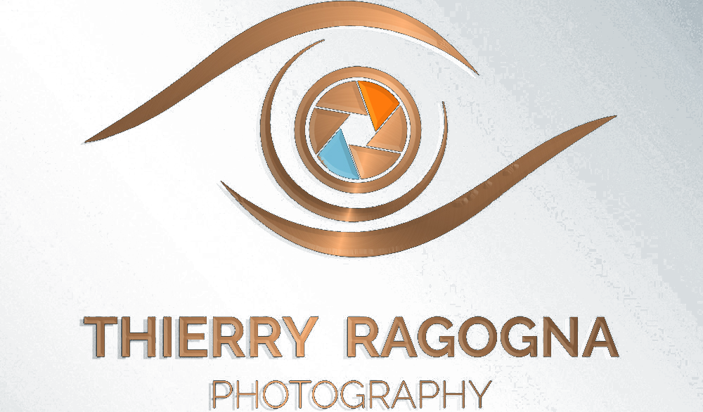 Logo Thierry Ragogna
